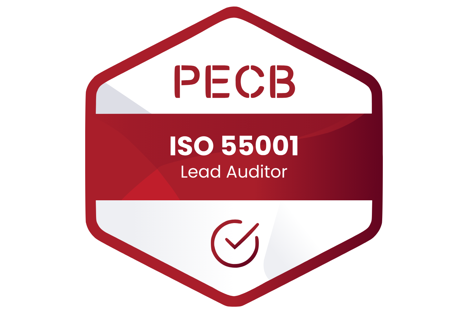 ISO 55001 Lead Auditor